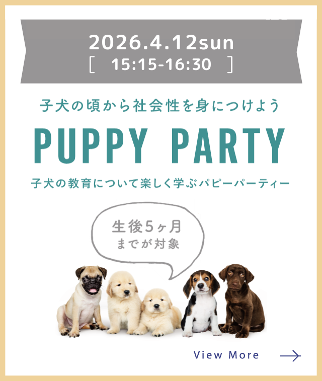 PUPPY PARTY