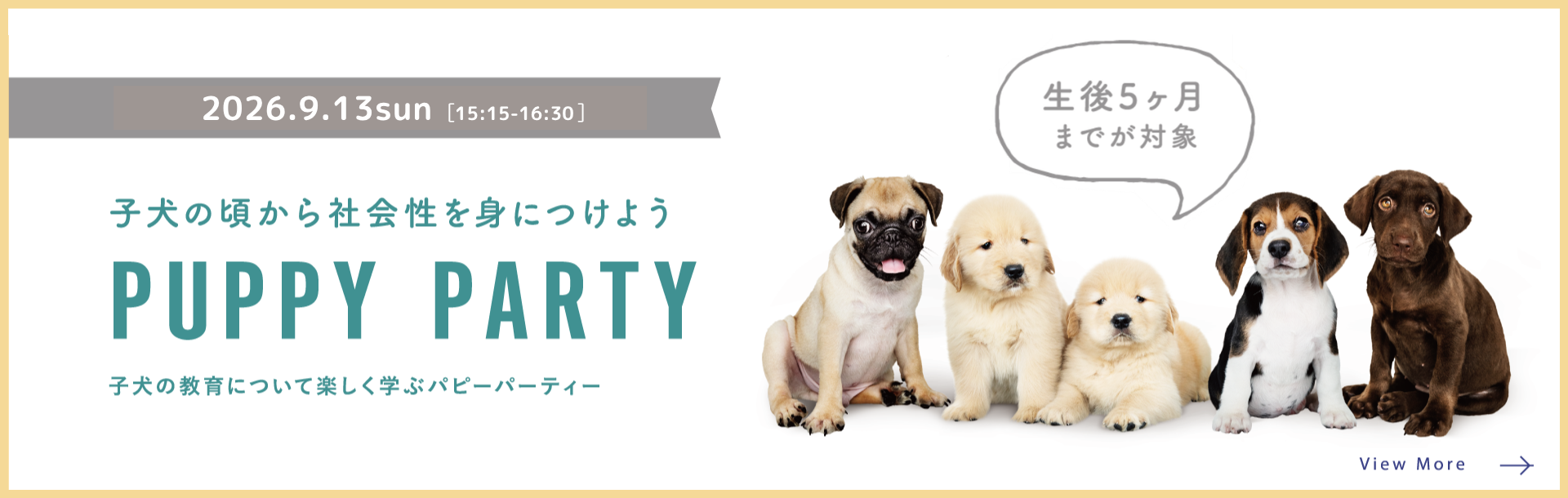 PUPPY PARTY
