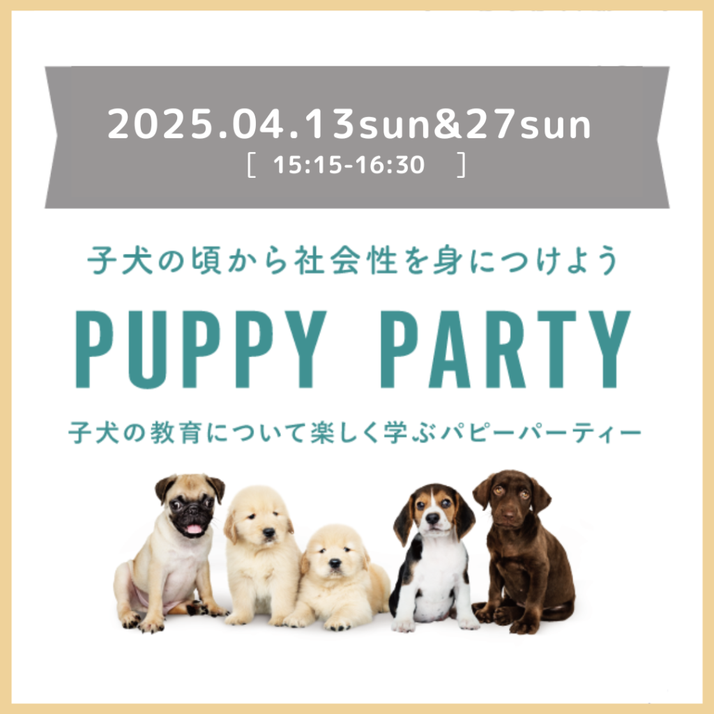 パピーパーティーのお知らせ（2025年4月）
