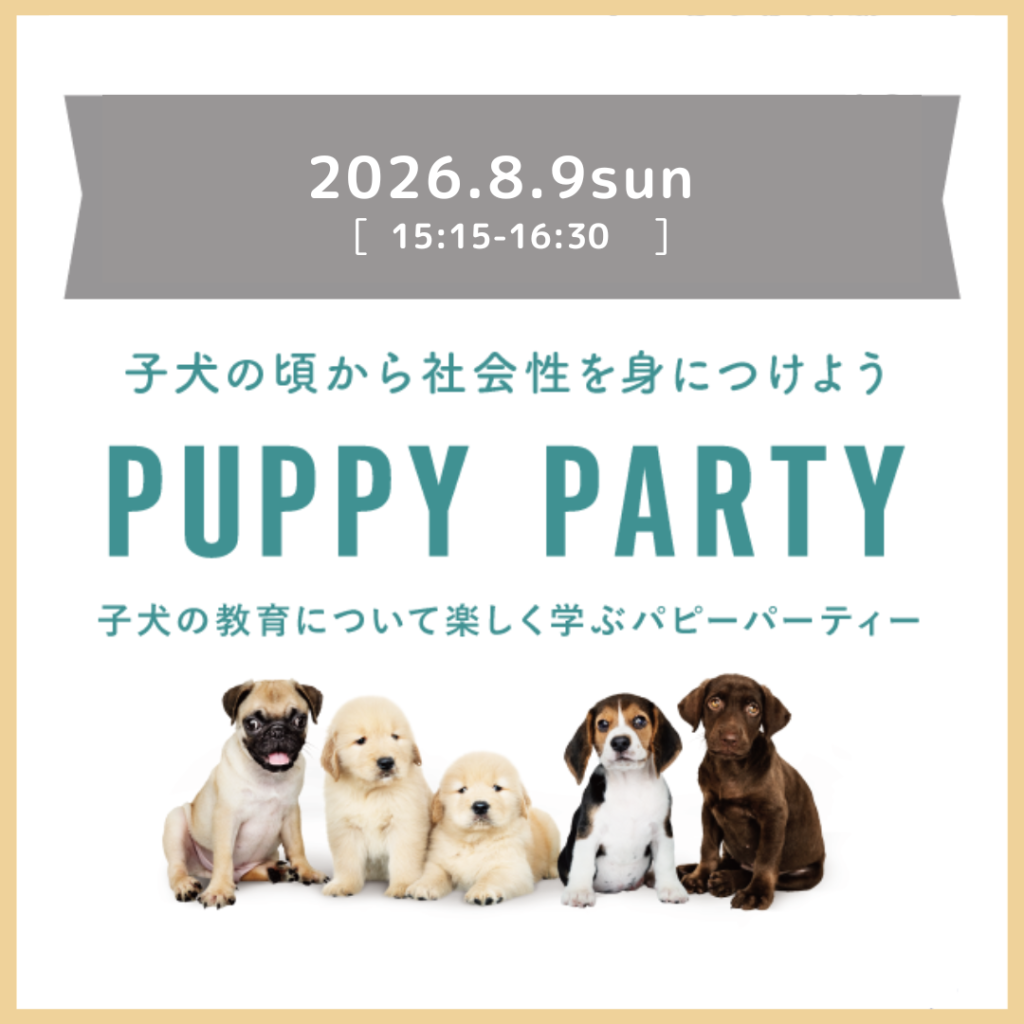 パピーパーティーのお知らせ（2026年8月）