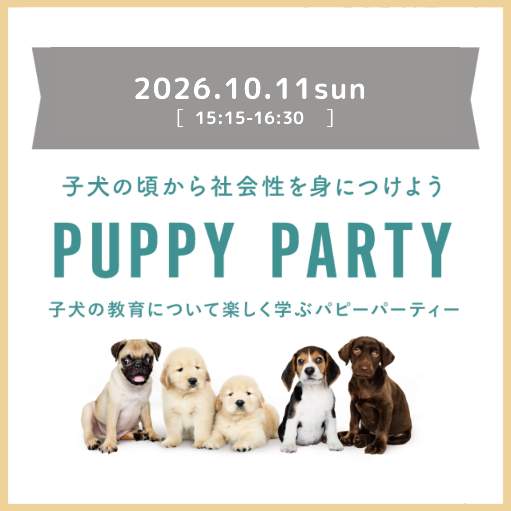 パピーパーティーのお知らせ(2026年10月)