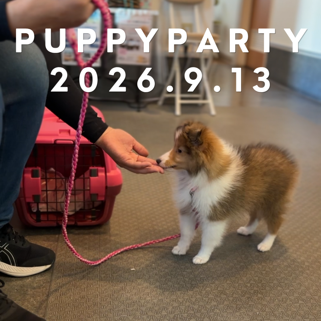 パピーパーティーを開催しました(2026年9月)