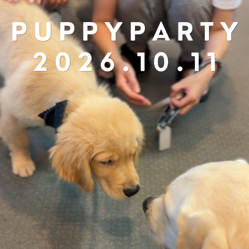 パピーパーティーを開催しました(2026年10月)